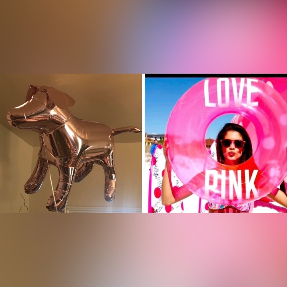 Victoria’s Secret Pink 1 inner tube 1 dog ballon